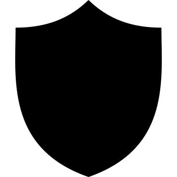 Computer Security Shield