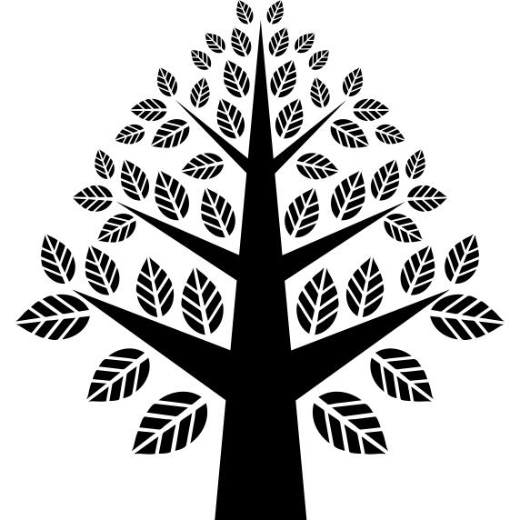 Tree symmetrical beautiful shape with many leaves