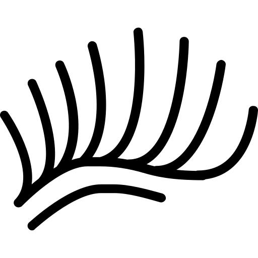 Eyelashes