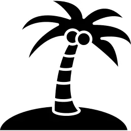 Coconut tree on an island
