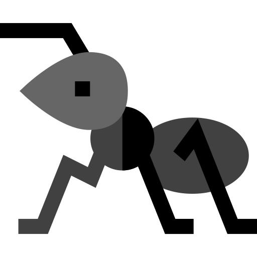 Ant