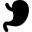 Stomach shape