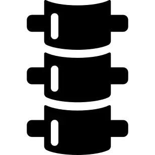 Spine