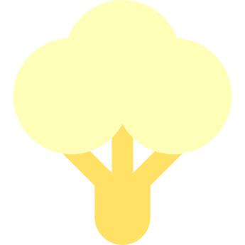 Cauliflower