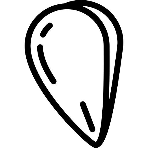 Mussel