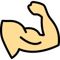 Muscle