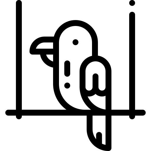 Parrot