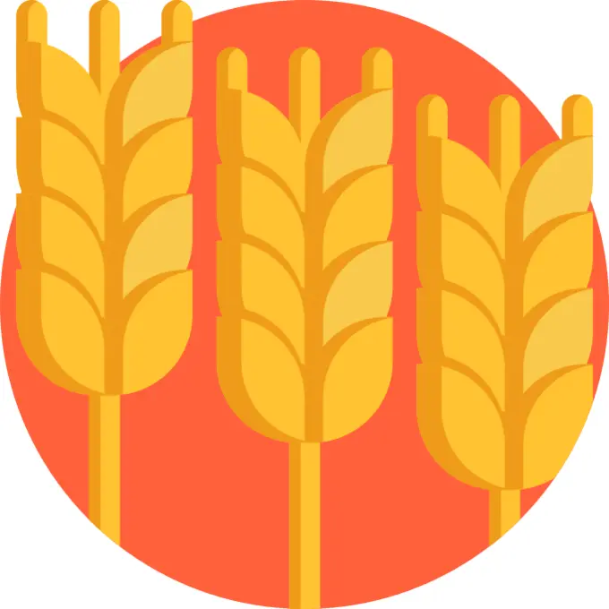 Rye