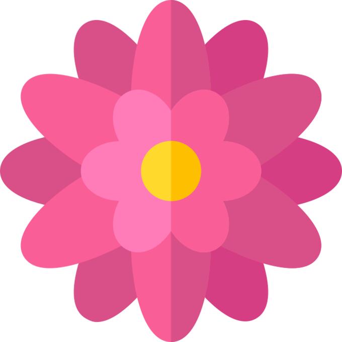 Chrysanthemum