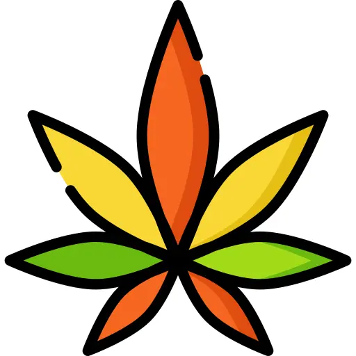 Cannabis