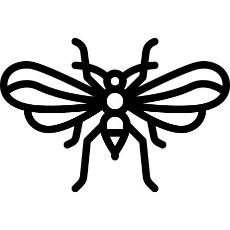 Psocoptera