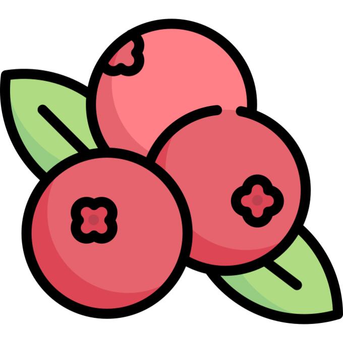 Berries