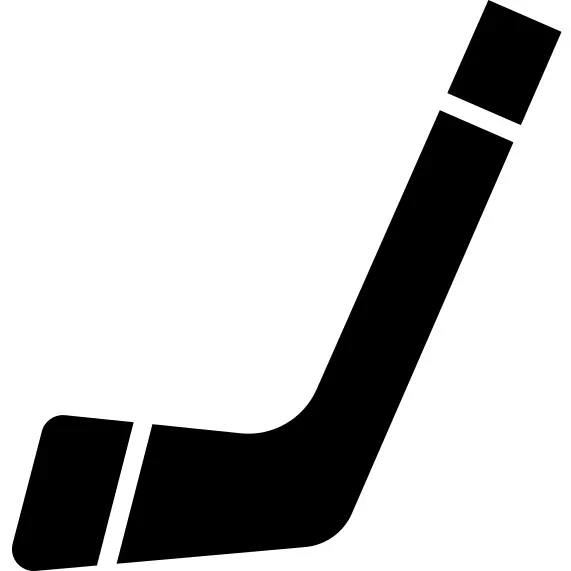 Hockey stick