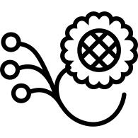 One flower on a branch with three seeds