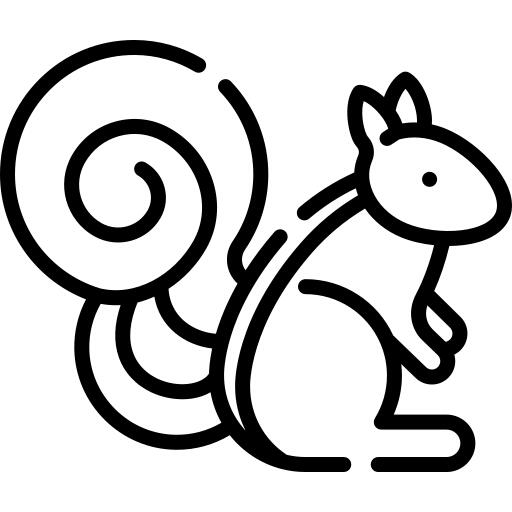 Squirrel