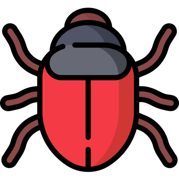 Bug