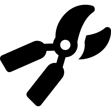Scissors