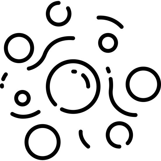 Bacteria