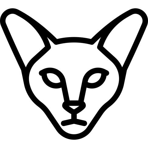 Javanese Cat