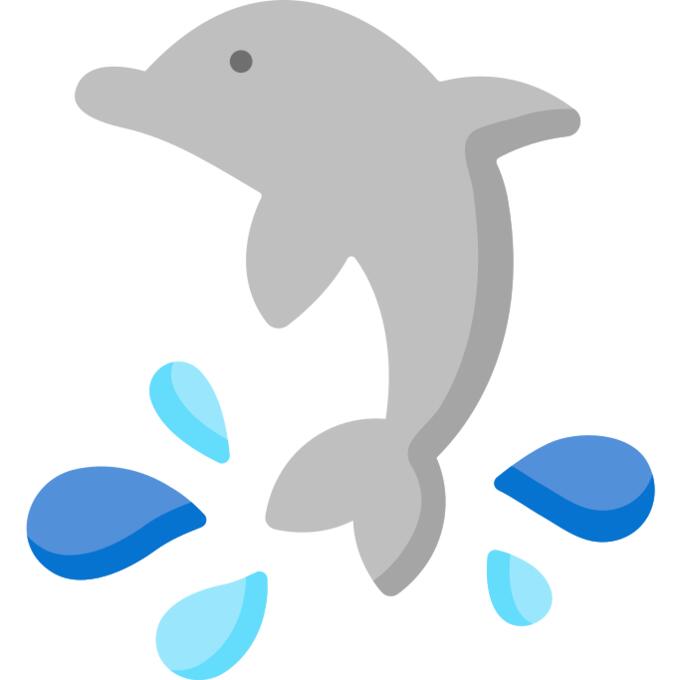海豚