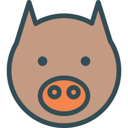 Pig