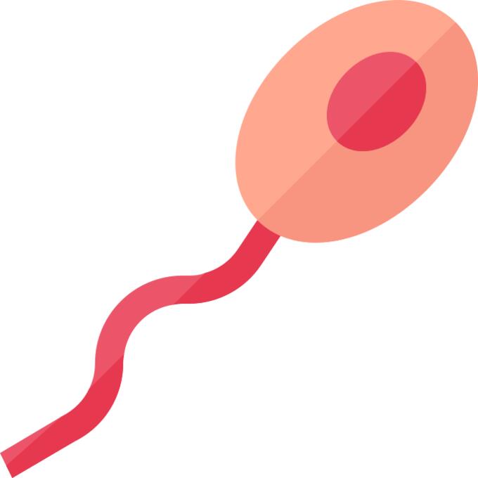 Sperm