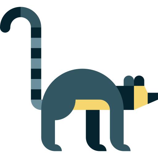 狐猴