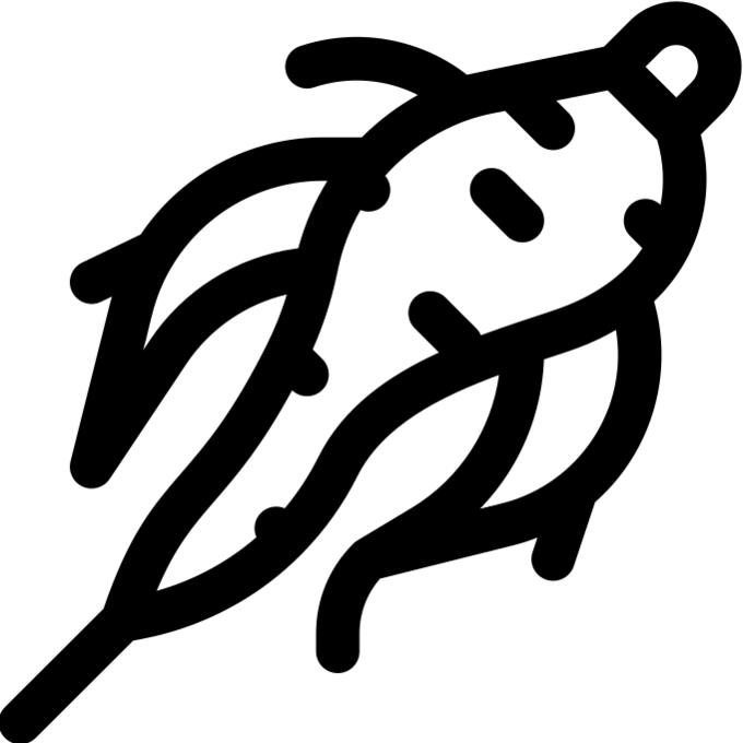 参