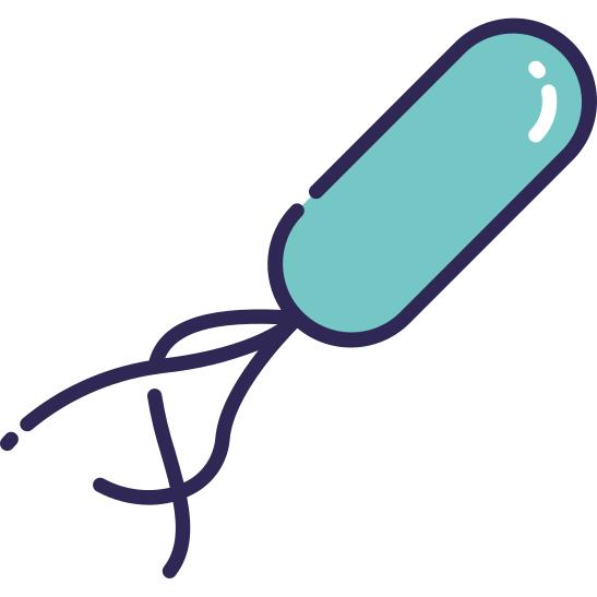 生物
