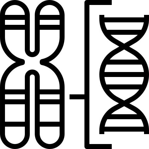 Chromosome