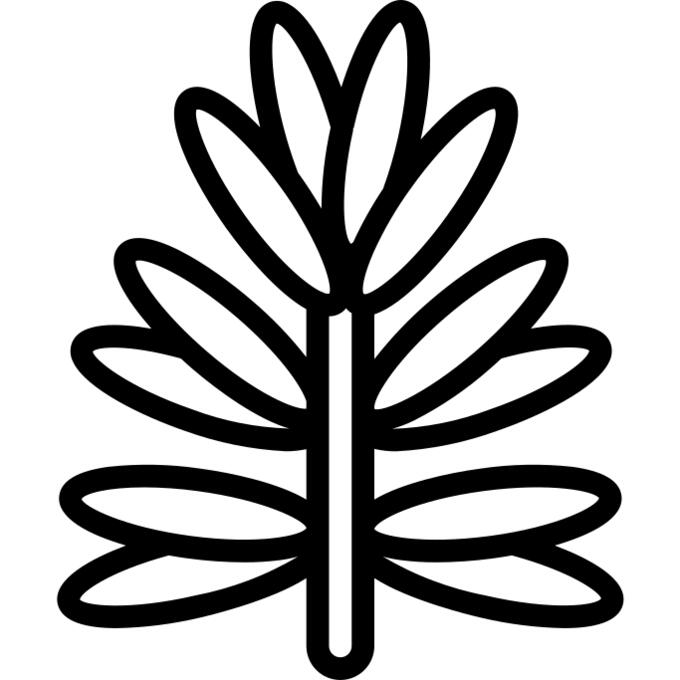 Rosemary