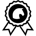 Horse races badge