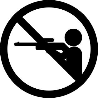 No shooting