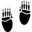 Pawprints