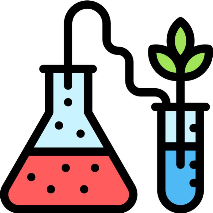 GMO