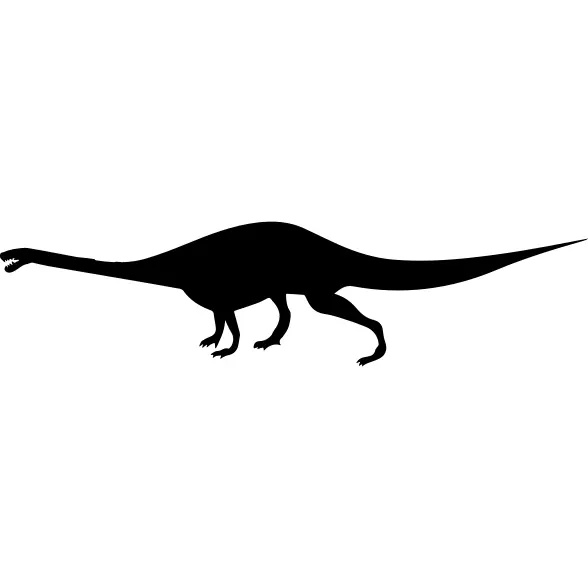 Leyesaurus shape