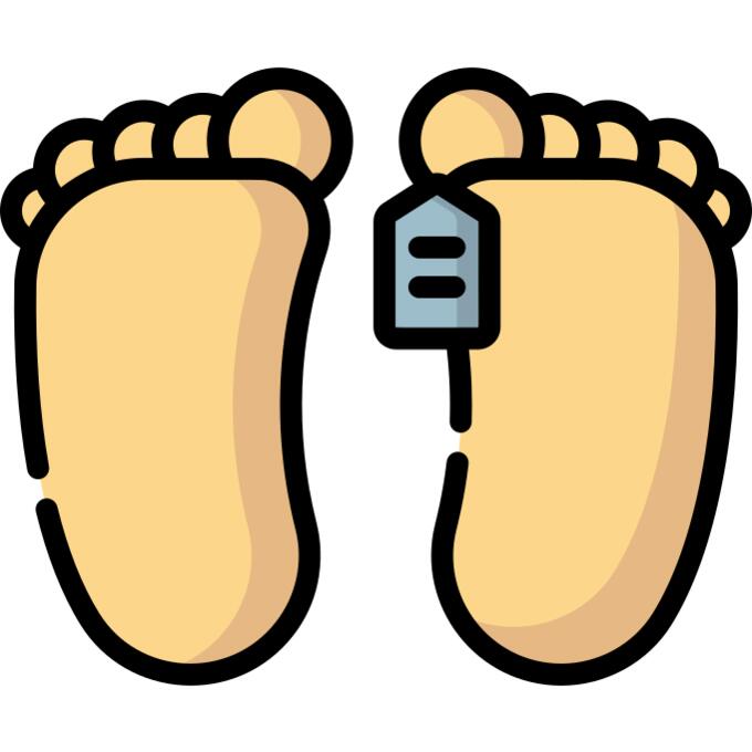 尸体