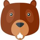 Beaver
