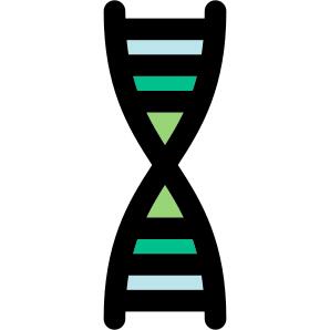 Dna