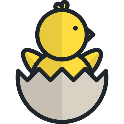 小鸡