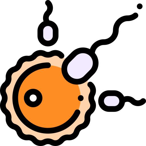 Fertilization