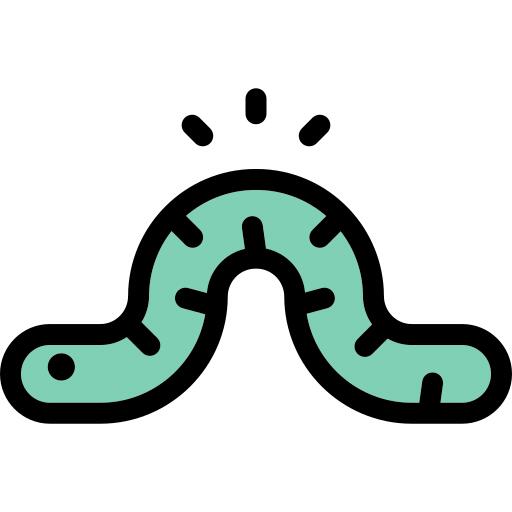 Worm
