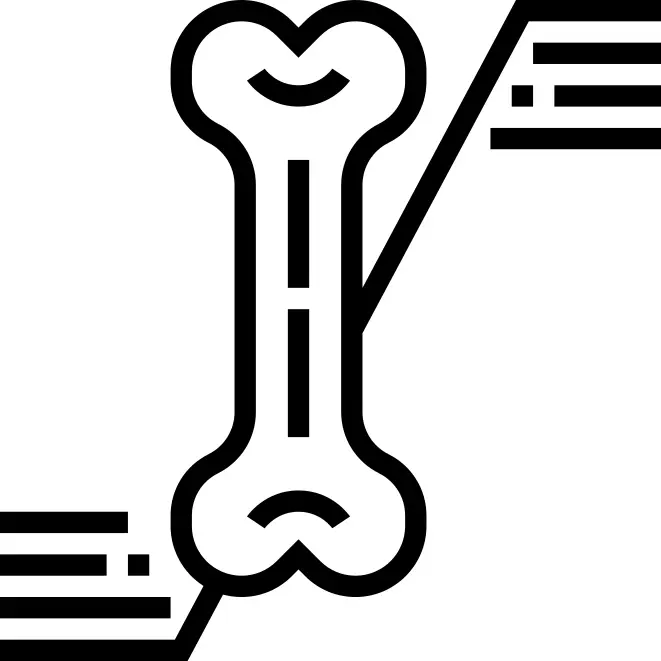 Bone