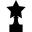 Star shape trophy