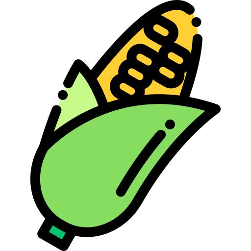 玉米