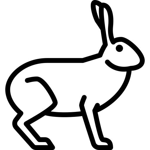Hare