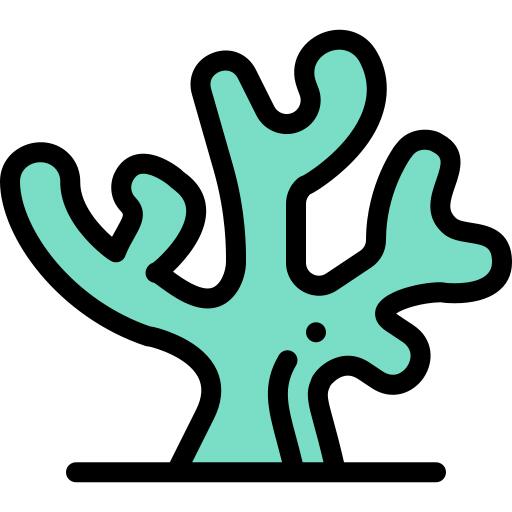 Coral