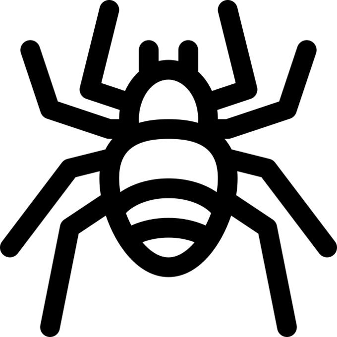 Spider