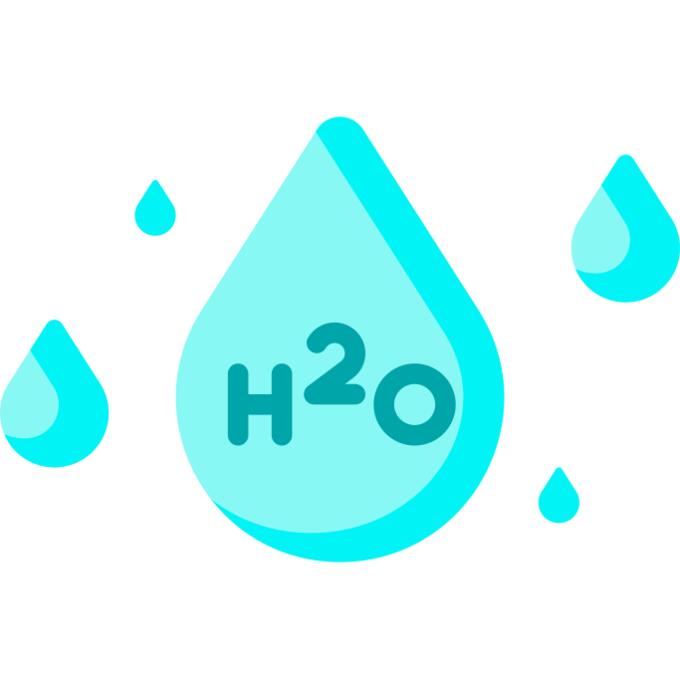H2O