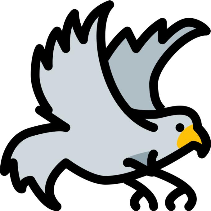 Hawk